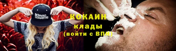 стаф Волоколамск