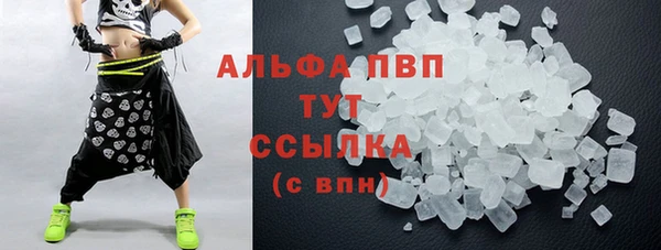 стаф Волоколамск