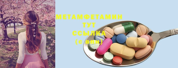 прущие грибы Вяземский