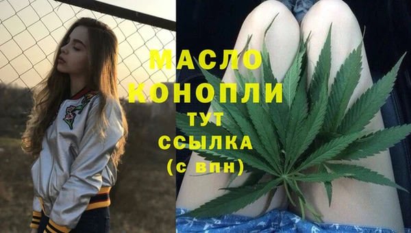 мдпв Володарск