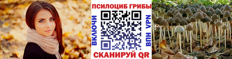 нарко площадка официальный сайт  Калачинск  Галлюциногенные грибы Psilocybine cubensis 